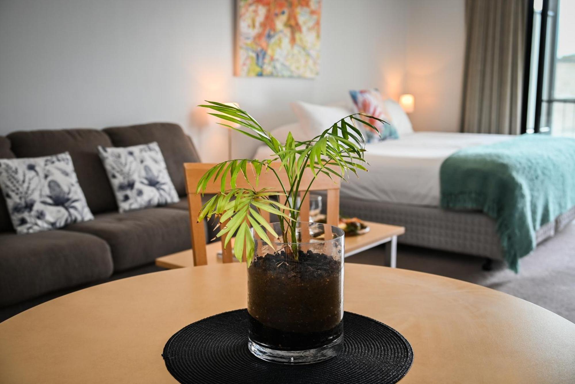 Mansfield Apartments Extérieur photo